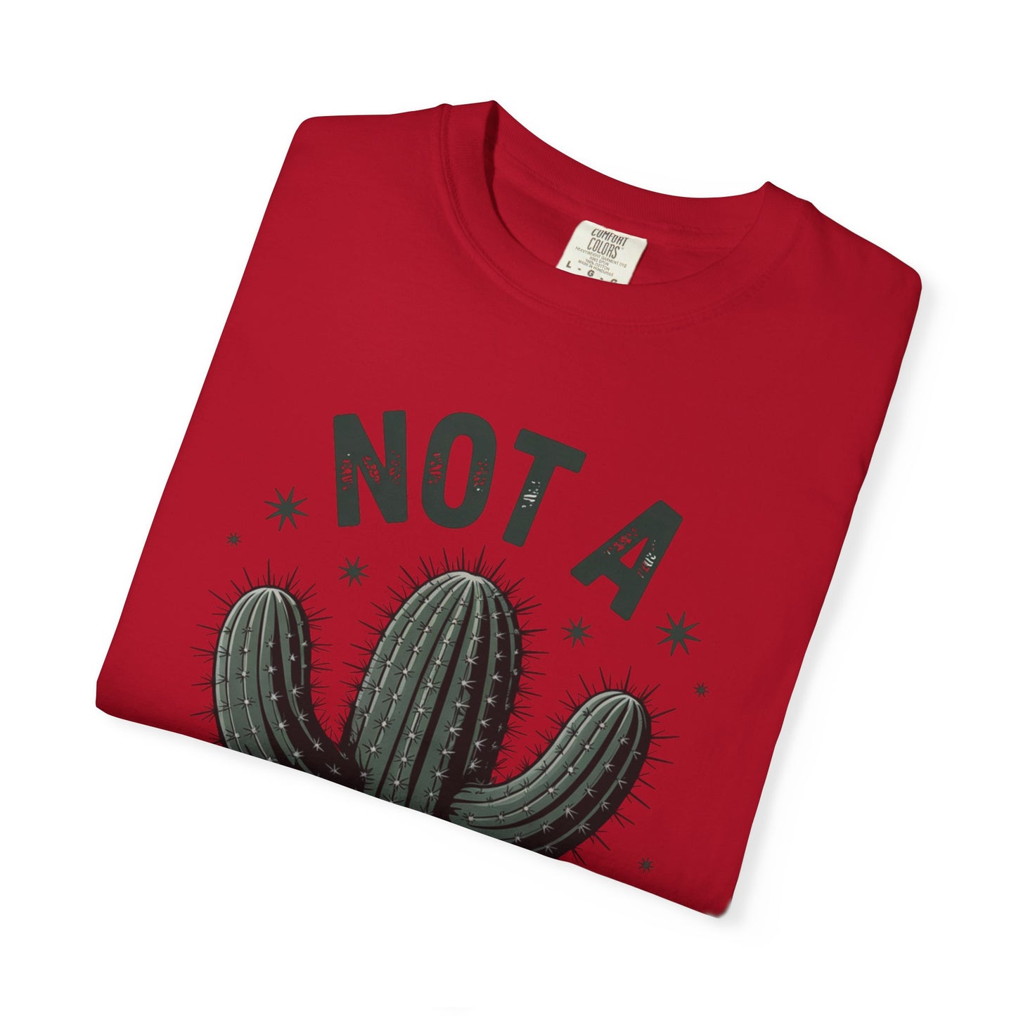 Not a Hugger Cactus Shirt – Funny Introvert Graphic Tee, Sarcastic Desert Plant Design, Anti-Social Gift Idea