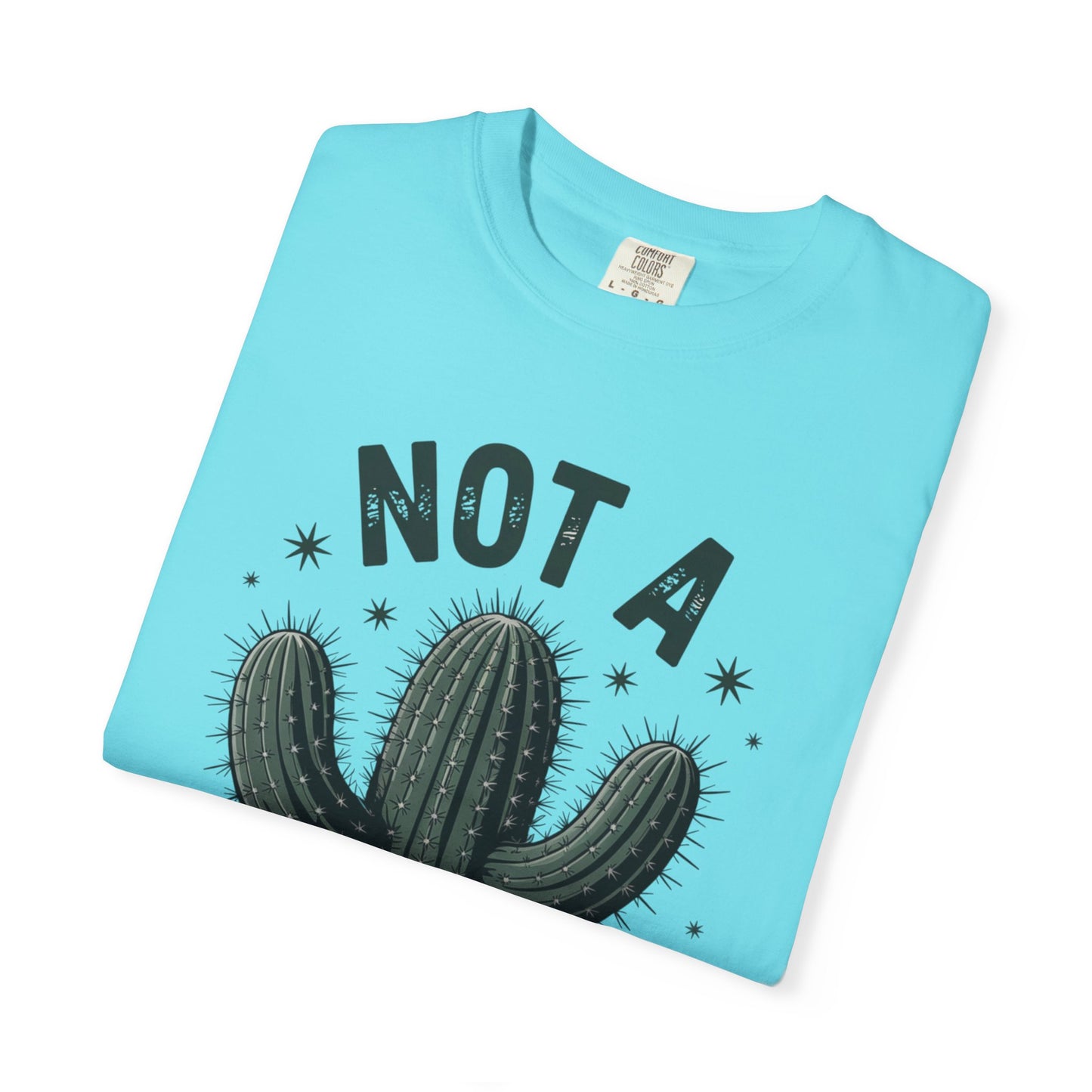 Not a Hugger Cactus Shirt – Funny Introvert Graphic Tee, Sarcastic Desert Plant Design, Anti-Social Gift Idea