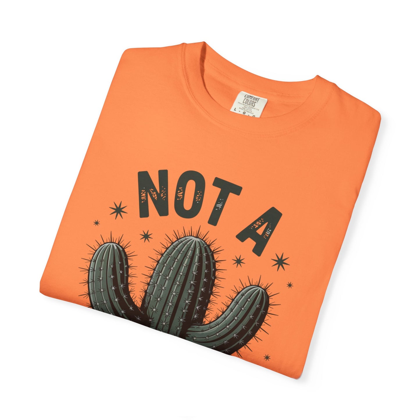 Not a Hugger Cactus Shirt – Funny Introvert Graphic Tee, Sarcastic Desert Plant Design, Anti-Social Gift Idea