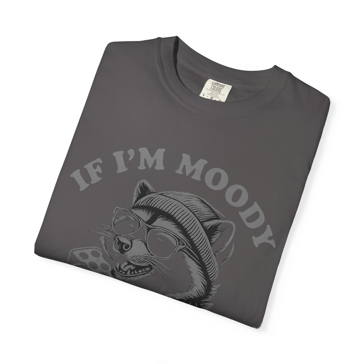 If I'm Moody Give Me Foody Raccoon Comfort Colors T-Shirt