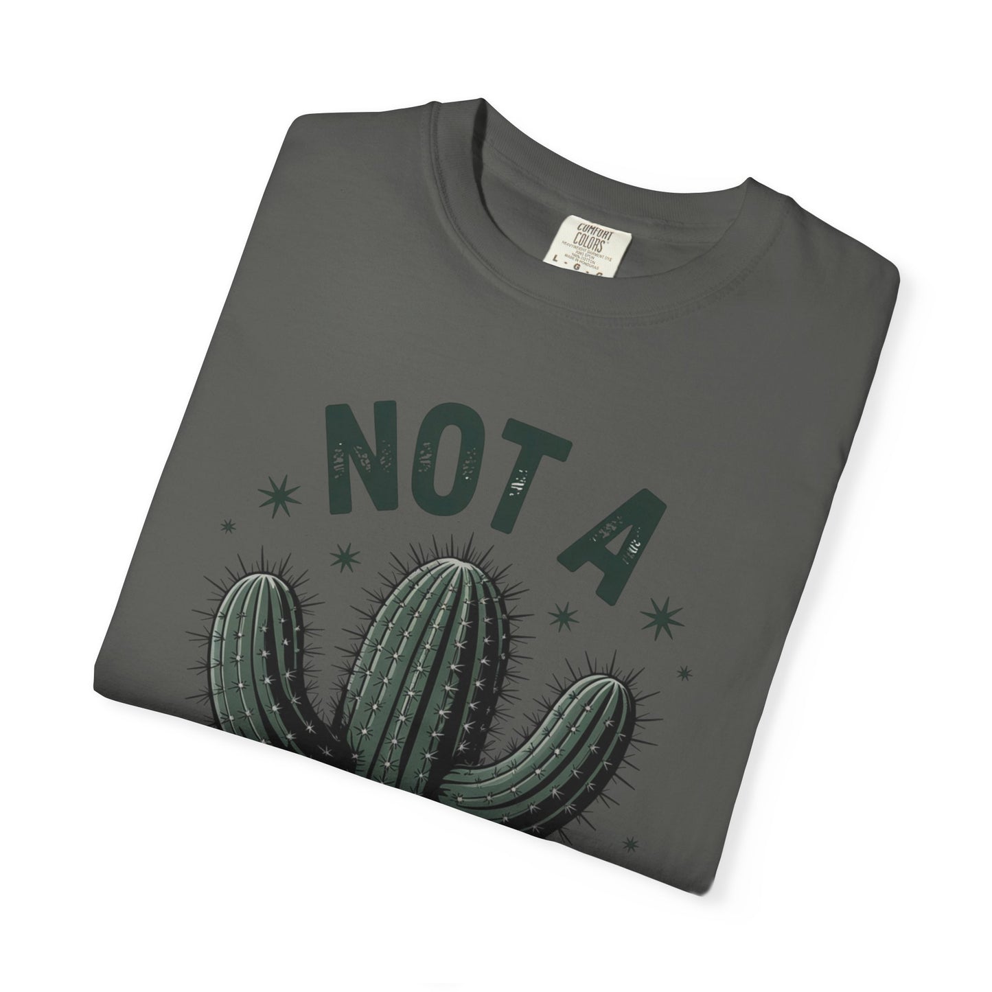 Not a Hugger Cactus Shirt – Funny Introvert Graphic Tee, Sarcastic Desert Plant Design, Anti-Social Gift Idea